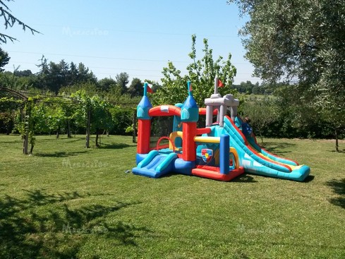 Come avere un gonfiabile a casa per una festa indimenticabile